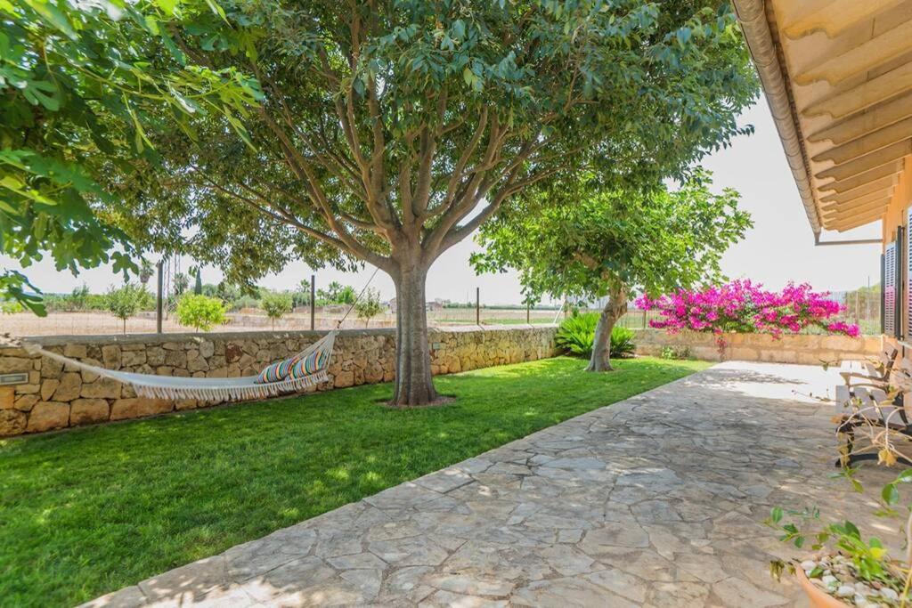 Finca Amer Sa Pobla Dış mekan fotoğraf